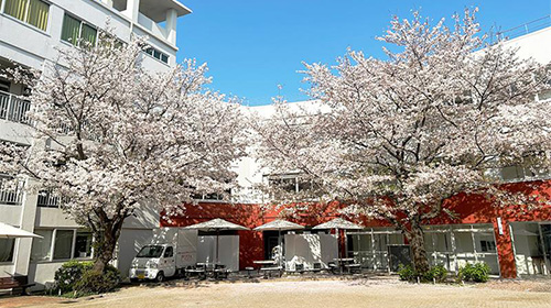 白鵬女子高等学校